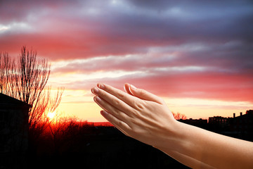 Wall Mural - Human hands on sky background