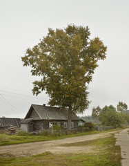 wooden house in russian landscape