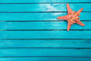 Sticker - Shell. Frame with Few marine items on a wooden background . Sea