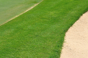 Beautiful green grass pattern from golf course