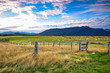 Sheep among New Zealand hills Beautiful Landscape