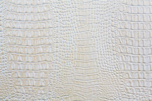 Crocodile Skin White Leather Background