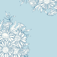 Wall Mural - Card with chamomile.