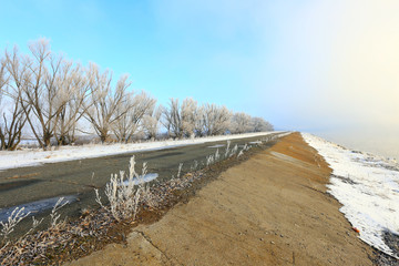 Wall Mural - road along the river winter