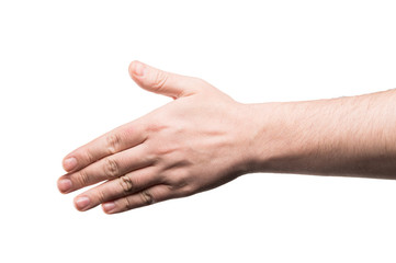 Collage of woman Hands gestures set, on white background.