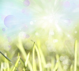 Poster - Spring background