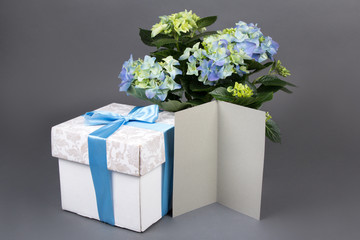 Wall Mural - blank gift card, bouquet of hydrangea flowers and gift box over