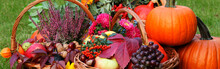 Fall Fruits And Vegetables