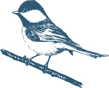 Vector Silhouette Of A Blue Tit On A White Background