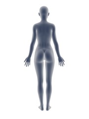 Wall Mural - woman body