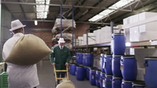 Workers In A Coffee Processing Factory Carrying Sacks Of Coffee