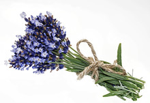 Echte Lavendel - Blueten Mit Schnur Zusammengebunden