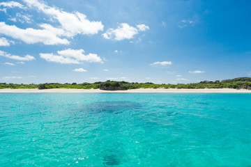 Remote tropical paradise white sand beach full of healthy coral in clear blue turquoise lagoon, Okinawa