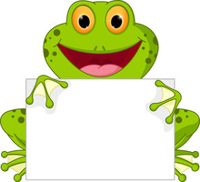 Happy Frog Cartoon With Sign