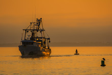 Shrimp Fishing Boat In Gulf Of Mexico At Sunset