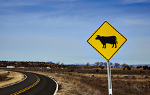 Cattle Crossing Road Sign