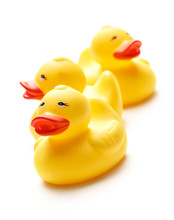 Three Yellow Duck Toys