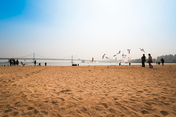 Wall Mural - People enjoy the beach and feeding seagull at Gwangalli beach