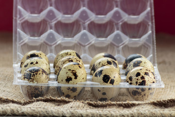 Many quail eggs in plastic egg box