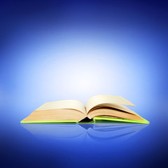 Sticker - Opened book on bright blue background