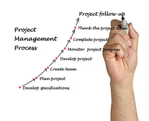 Wall Mural - Project Management Process