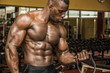 © theartofphoto - Hunky muscular black bodybuilder working out in gym
