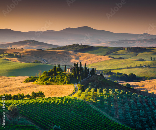 Naklejka na szybę Scenic Tuscany landscape at sunrise, Val d'Orcia, Italy