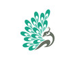 Beauty Peacock Logo Vector