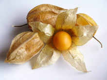Aguaymanto, Peruvian Fruit