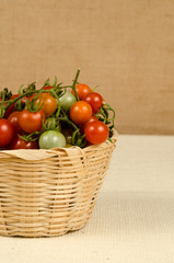 Wall Mural - Cherry tomatoes