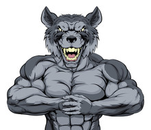 Mean Wolf Sports Mascot