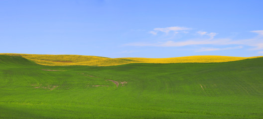 Wall Mural - Panoramic view of Meadow