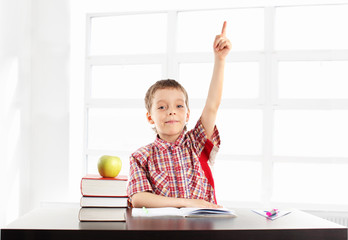 Boy at school