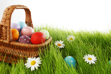 Wall Mural - Easter basket on meadow