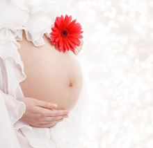 Pregnant Belly Flower, Woman Pregnancy Maternity Concept