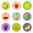 Vector fruit icon set