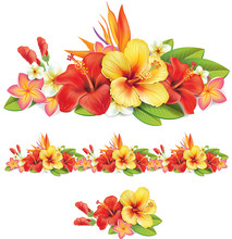 Garland Of Of Tropical Flowers