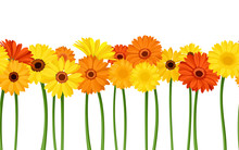 Horizontal Seamless Background With Gerbera Flowers. Vector.