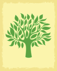 Wall Mural - Vector illustration. Tree.