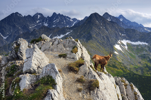 Fototapeta na szkło Tatry Bielskie