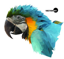 Macaw Parrot`s Head Visual Identity In Low Polygon