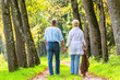 Senior Mann und Frau halten Hand bei Spaziergang