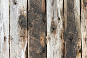 Wall Mural - wood planks texture on fence