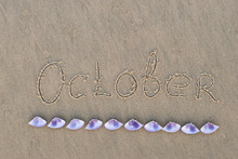 Calendar On Sand.