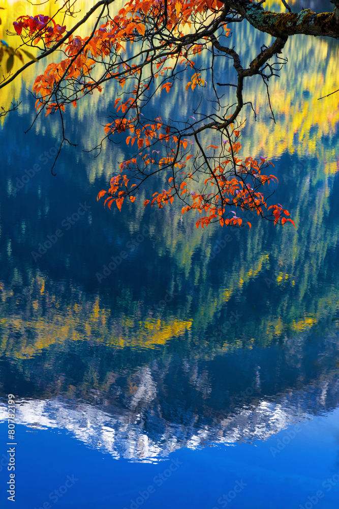 mirror lake at Jiuzhaigou scenic - obrazy, fototapety, plakaty 