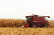 © Cristian Kerekes - Red harvester working on corn field