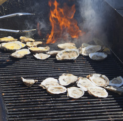 Grilled Oyster 1