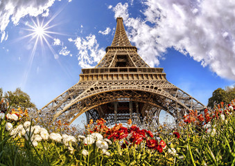 Fototapete - Eiffel Tower with flowers  in Paris, France