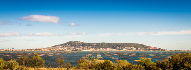 Wall Mural - Le Mont Saint Clair et les tables conchylicoles au coucher de soleil près de Bouzigues dans l'Hérault en Occitanie, France