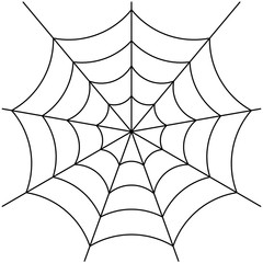 spider web isolated on white vector